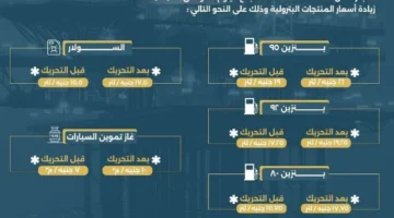 تشديد الرقابة على محطات الوقود والمواقف في الإسماعيلية بعد رفع أسعار البنزين